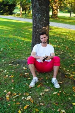 Man sitting under a tree reading a book Stock-Fotos