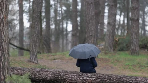 A man sitting under an umbrella on a broken tree after a bombing. The war in Stock-Footage 254208198