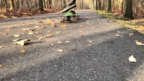 Man skating longboard on the leafs covered path. Video stock 82529422