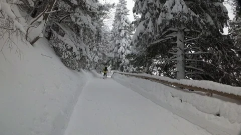 Man Skiing Down a Forest Road. Snowfall In a Pine Forest Stock Footage 101809089