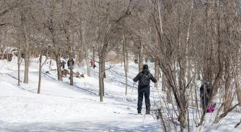 Man Skiing on Mountain 库存照片