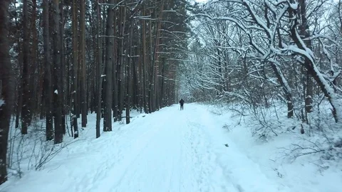 A man is skiing in a pine forest in the evening, view from the air. The concept Stock Footage 123151569