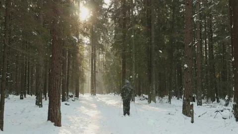 Man skiing in the winter forest Video stock 73896515