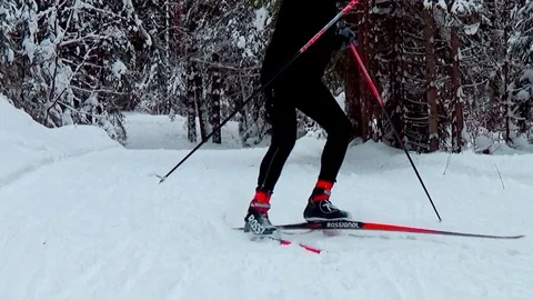A man skiing in a winter forest Video stock 76141177