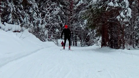 A man skiing in a winter forest Video stock 76141180