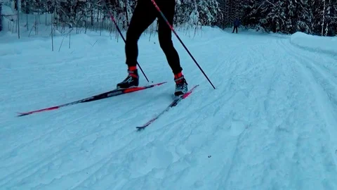 A man skiing in a winter forest Video stock 76141202