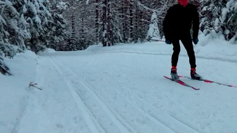 A man skiing in a winter forest Video stock 76141205