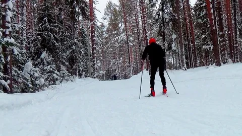 A man skiing in a winter forest Video stock 76141220
