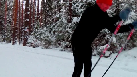 A man skiing in a winter forest Video stock 76141235