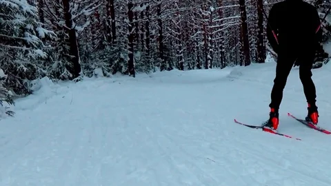 A man skiing in a winter forest Video stock 76141236