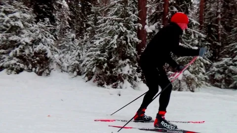 A man skiing in a winter forest Video stock 76141237