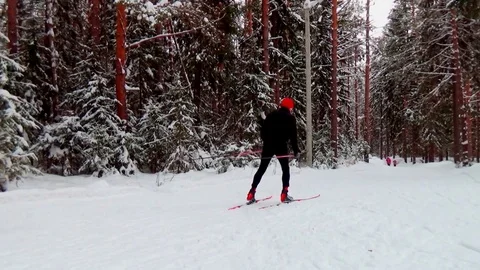 A man skiing in a winter forest 库存影片 76141247