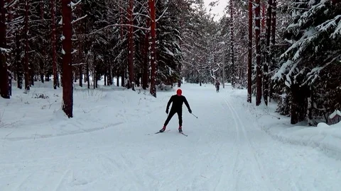 A man skiing in a winter forest Video stock 76141252