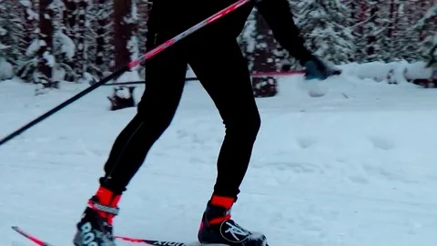 A man skiing in a winter forest Stock Footage 76141253