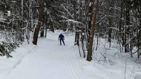 Man Skiing in the Winter Forest Stock Footage 222961323