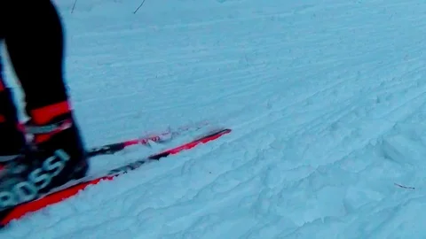 A man skiing in a winter forest in slow motion 库存影片 76141217