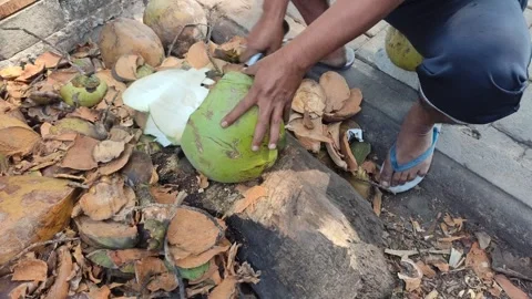 A man skillfully peels the husk off a young coconut Video stock 249381045