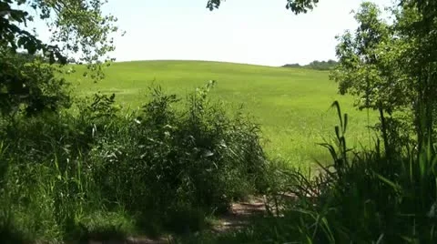 Man Skips Down Trail to Lush Green HIll Stock Footage 12598405