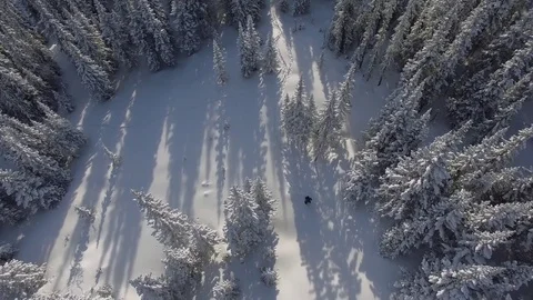 A man on skis in deep snow. Winter forest with snow-covered trees. Video stock 75047871