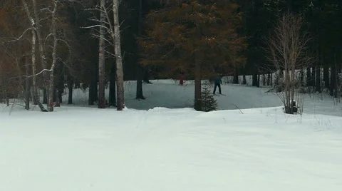 Man Skying in Forest Stock Footage 64749070