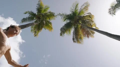Man slacklining between two palm trees on a beach on Saint Lucia. 스톡 동영상 308723041