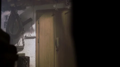 Man is slamming down the axe to drop big log Видео 92795985