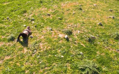 Man sleeping into the grass Stock Photos