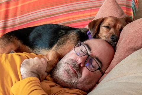 Man sleeping with his dog on the couch Stock Photos