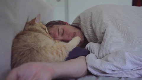 The man is sleeping with own cat in the bad at an apartment Stock Footage 272189792