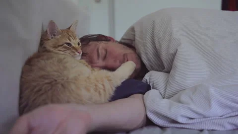 The man is sleeping with own cat in the bad at an apartment Stock Footage 272190260