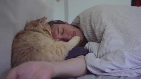 The man is sleeping with own cat in the bad at an apartment Stock Footage 272190660