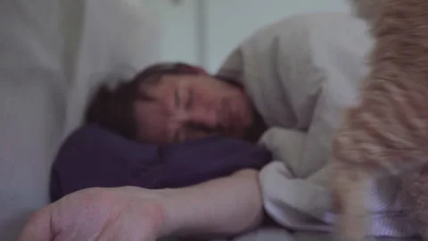 The man is sleeping with own cat in the bad at an apartment Stock Footage 272190968