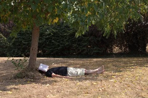 Man sleeping under a tree Stock Photos