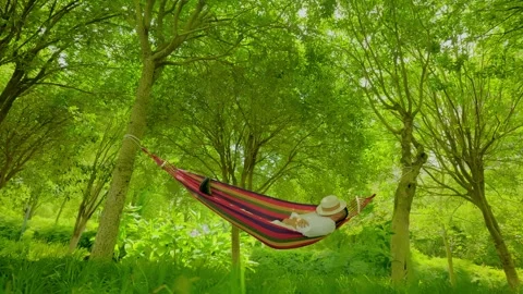 A man sleeps in a hammock. Colorful hammock among green trees. 库存影片 346502925