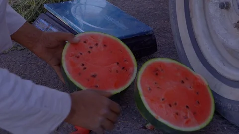 Man sliced Watermelon into two Stock Footage 102513238