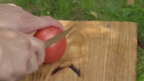 Man slices tomato on a cutting board Видео 80235968