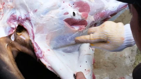 A Man slicing beef skin Stock Footage 244838215