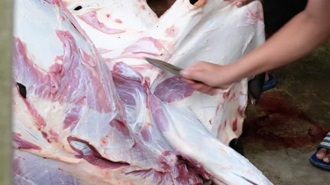 A man slicing beef skin Stock Footage 244838315