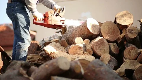 Man Slicing trees by Chainsaw Video stock 75460498