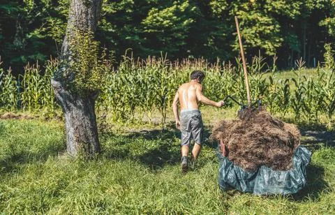 Man on a small tractor, farmer at work. Stock Photos