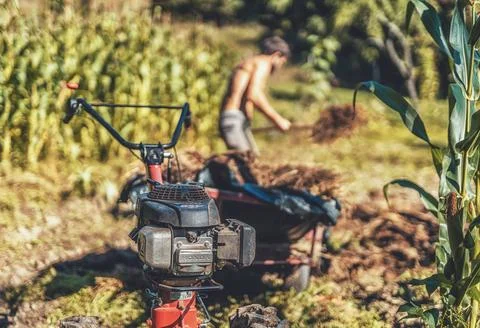 Man on a small tractor, farmer at work. Stock Photos