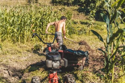 Man on a small tractor, farmer at work. Stock Photos