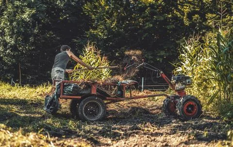 Man on a small tractor, farmer at work. Stock Photos