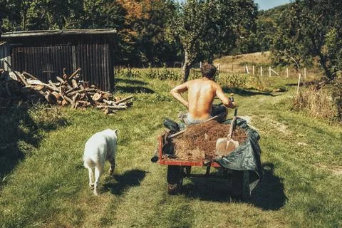 Man on a small tractor, farmer at work. Stock Photos