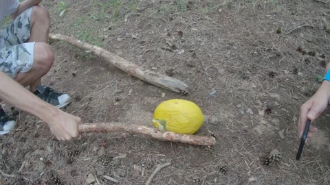 Man Smashes Pumpkin with a stick while Other Man Filming 4k60fps GoPro Flat Stock Footage 134794228