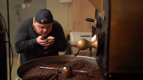 Man smelling aromatic hot coffee beans at factory Stock Footage 234633742
