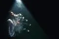 The man smoke an electronic cigarette with a ring and on the dark background Photo