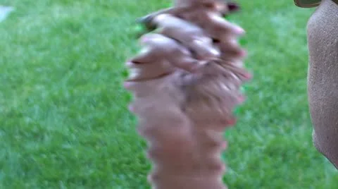 Man smoking a cigar Stock Footage 10767632