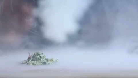 Man Smoking Marijuana - Close Up Stock Footage 78195736