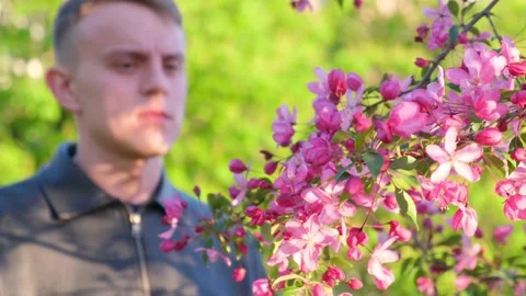 A man sneezes on the background of a blossoming tree in spring, slow motion Stock Footage 153758360